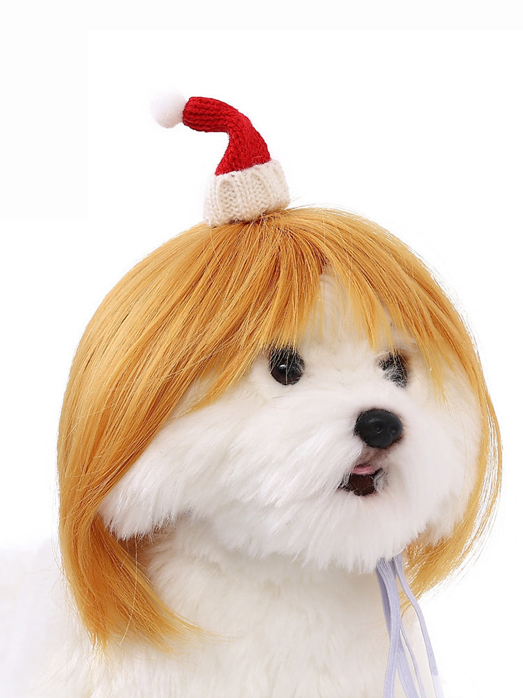 Dog Hair Wig elevenforest