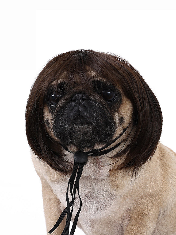 Dog Hair Wig elevenforest
