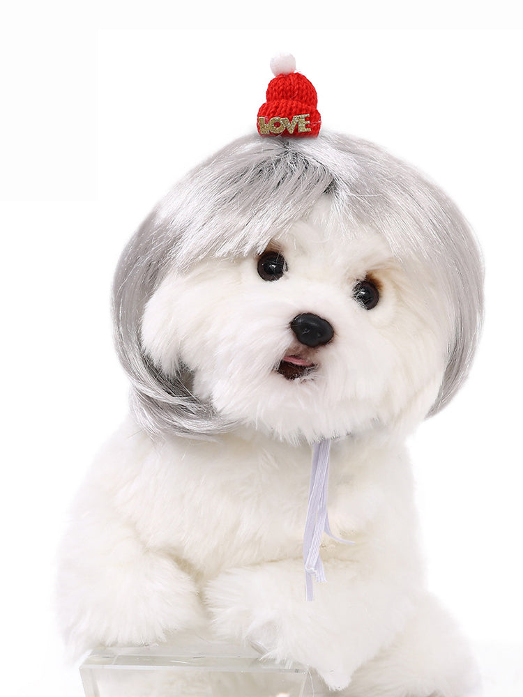 Dog Hair Wig elevenforest