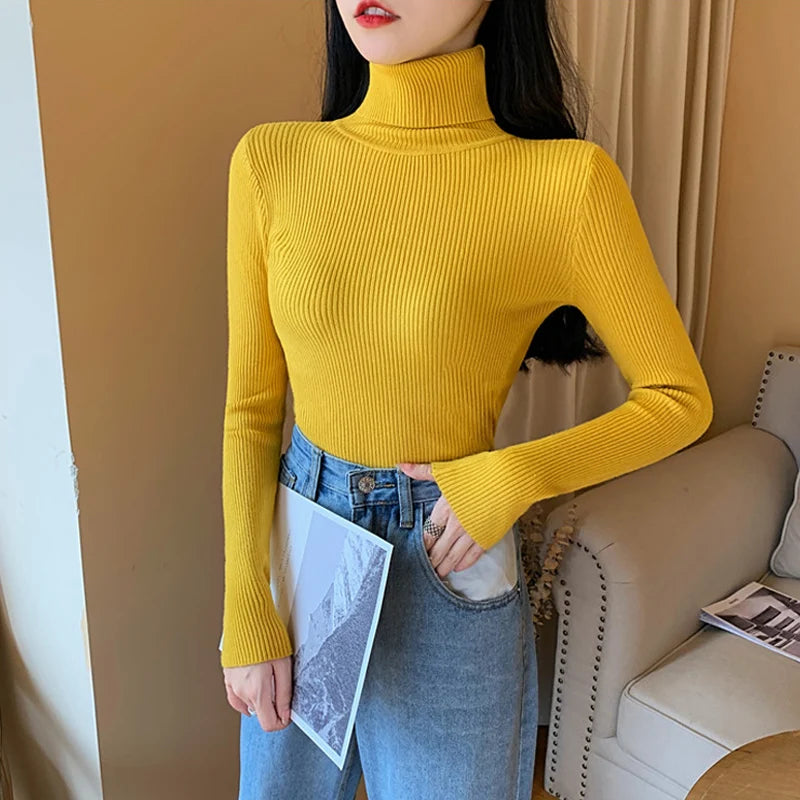 Raffinato e radioso Maglione