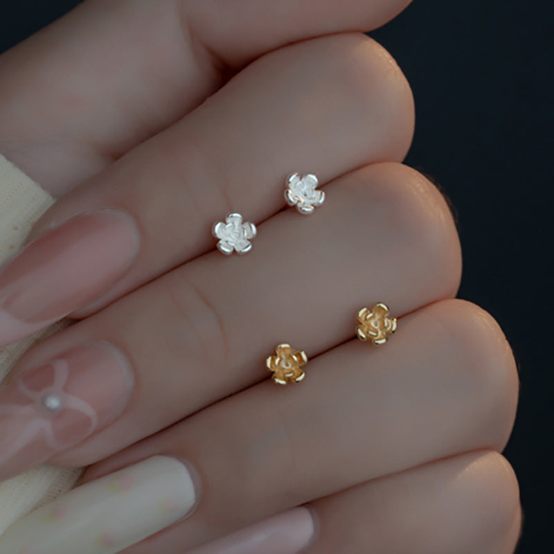 Immagine del prodotto