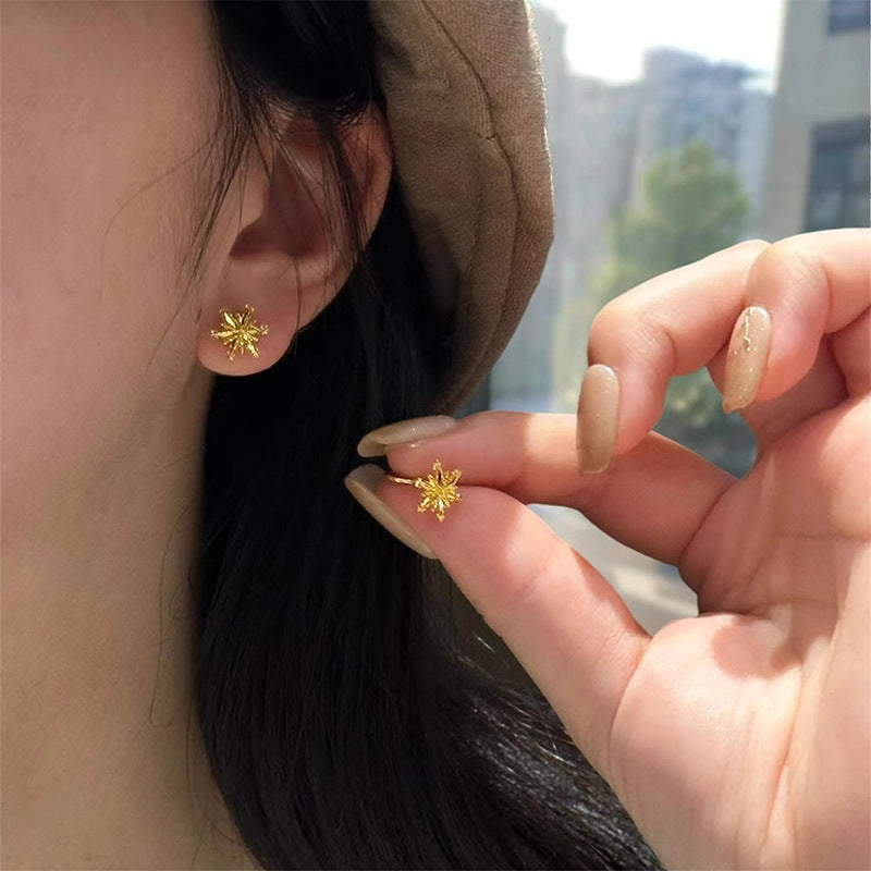 Orecchino affascinante per ogni occasione