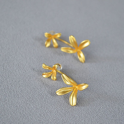 Argento Orecchino bellissimo con stile unico