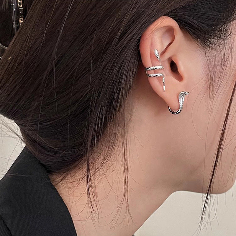 Orecchino bellissimo con stile unico