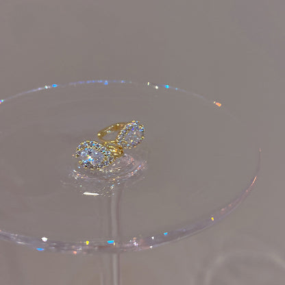 Orecchino stupendo per uso quotidiano