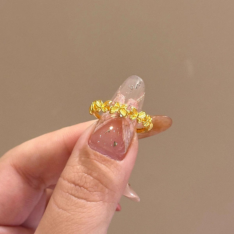 Anello affascinante per ogni occasione