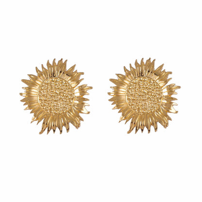 Orecchino stupendo per uso quotidiano