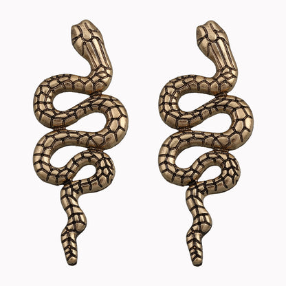 Orecchino bellissimo con stile unico