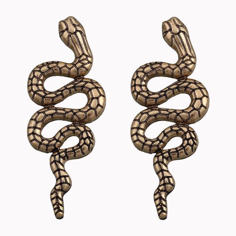 Orecchino bellissimo con stile unico