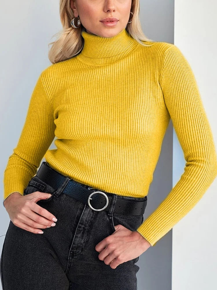 Raffinato e radioso Maglione
