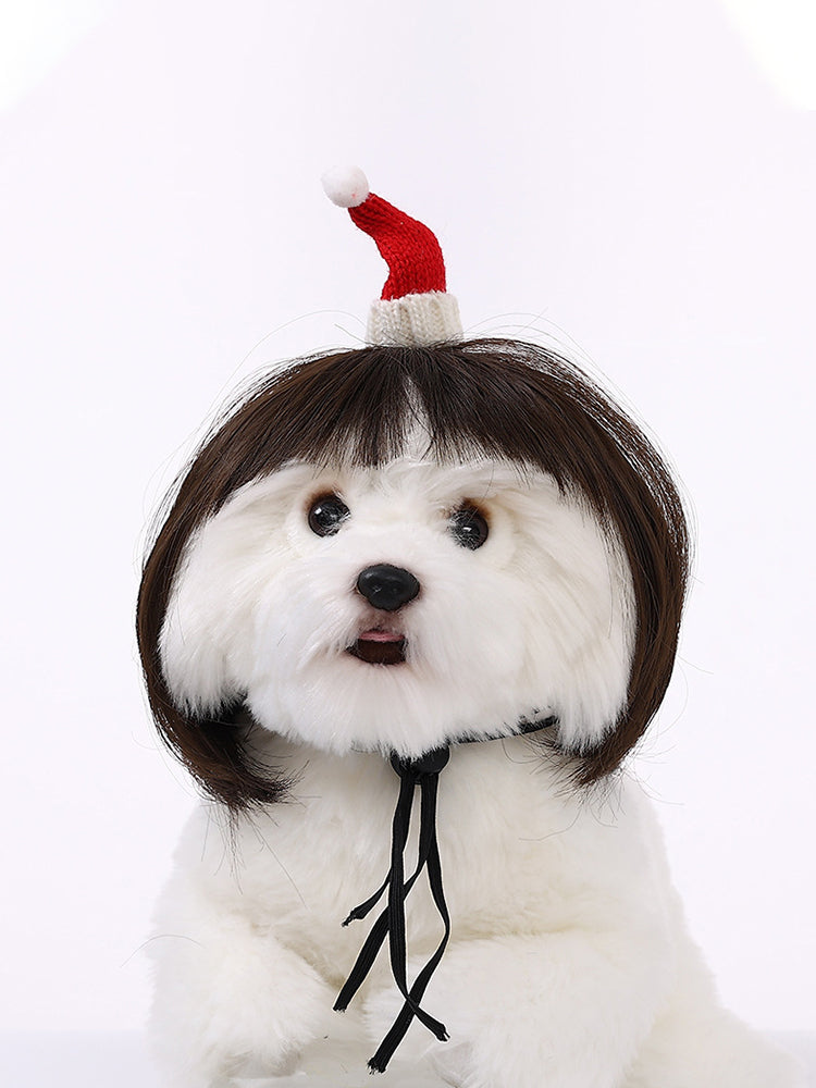 Dog Hair Wig elevenforest