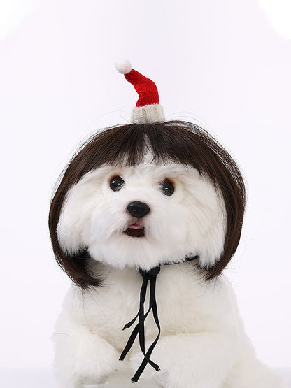 Dog Hair Wig elevenforest