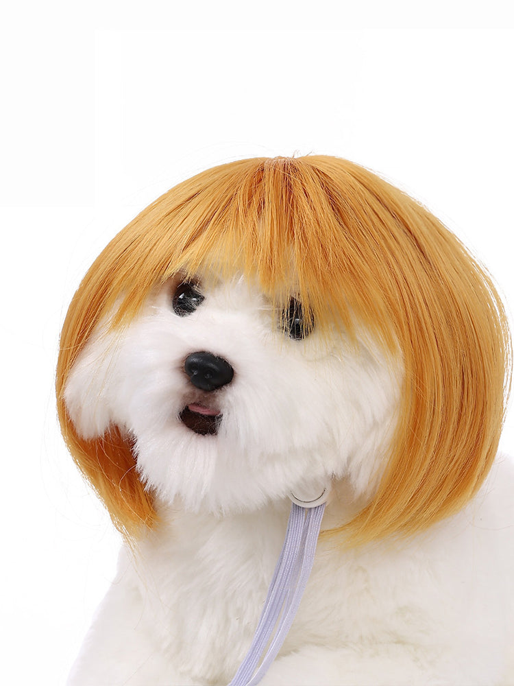 Dog Hair Wig elevenforest