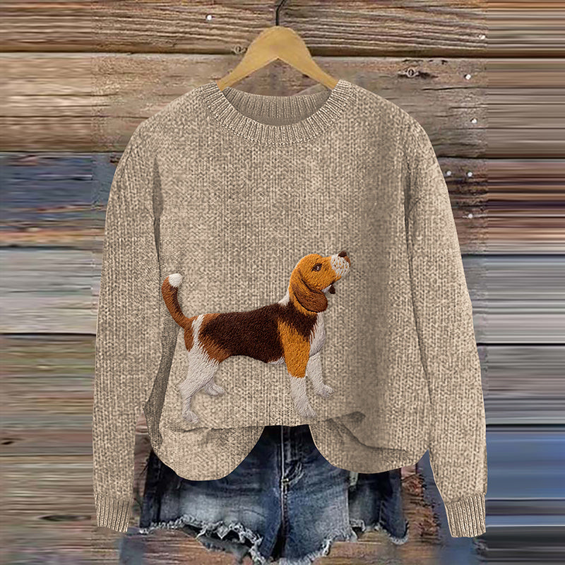 Maglione splendidamente realizzato