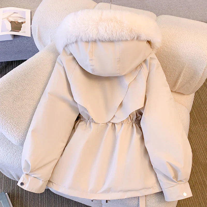 LP | Giacca generica casual e alla moda