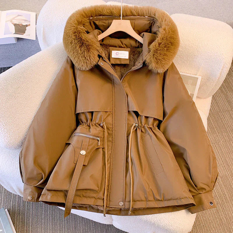 LP | Giacca generica casual e alla moda